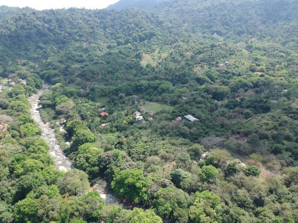 Deep Forest Posadas Ecoturisticas 엘 자이노 외부 사진