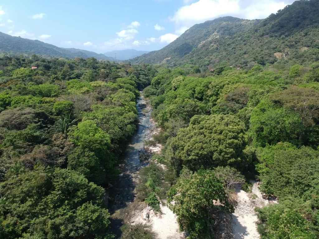 Deep Forest Posadas Ecoturisticas 엘 자이노 외부 사진