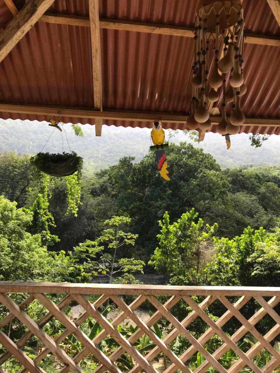 Deep Forest Posadas Ecoturisticas 엘 자이노 외부 사진