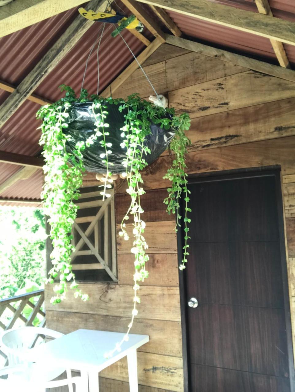 Deep Forest Posadas Ecoturisticas 엘 자이노 외부 사진